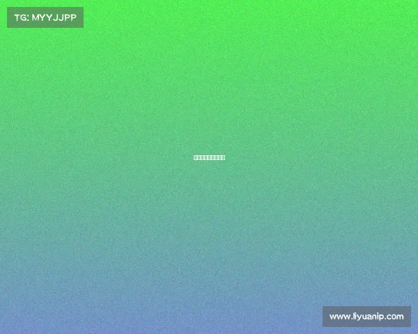 赛事布展、赛事展示